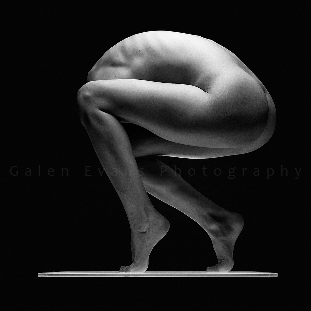 Figure Study:  From the Lightbox Series