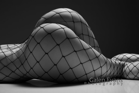 Bodyscape with Fishnets
