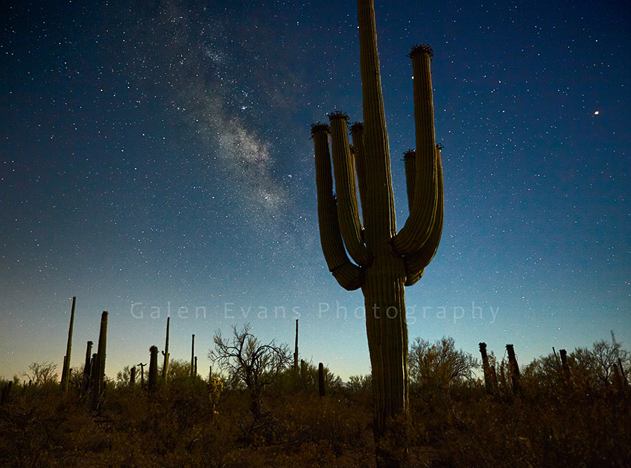 Milky Way over the Sonoran Desert